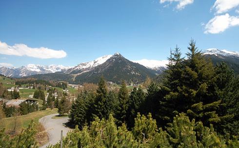 Chalet Celina 1